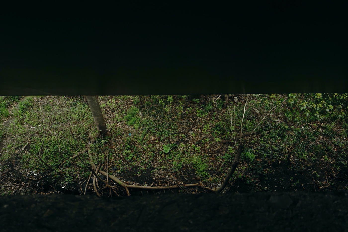 Edge Garden 景观设计丨中国上海丨YIYU-18