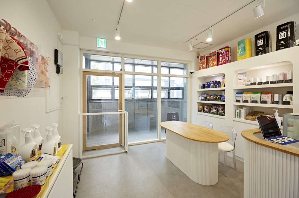 白色木纹，打造温馨舒适家居空间-4