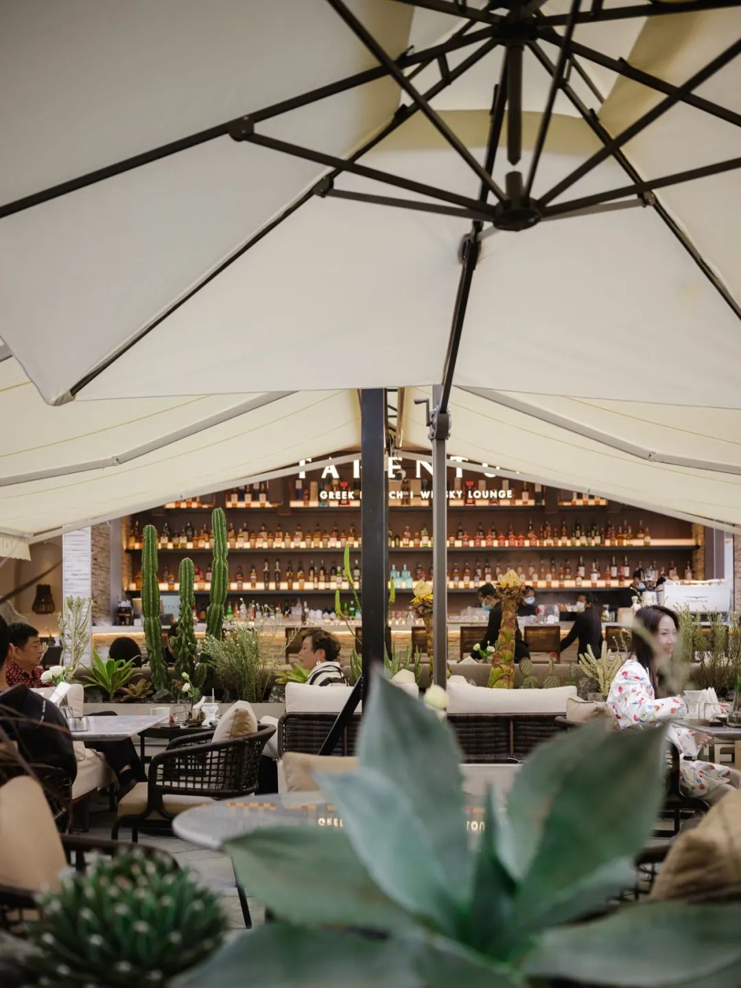 TARENTUM 萄木丨中国深圳丨RBD DESIGN BOX 瑞本设计-20