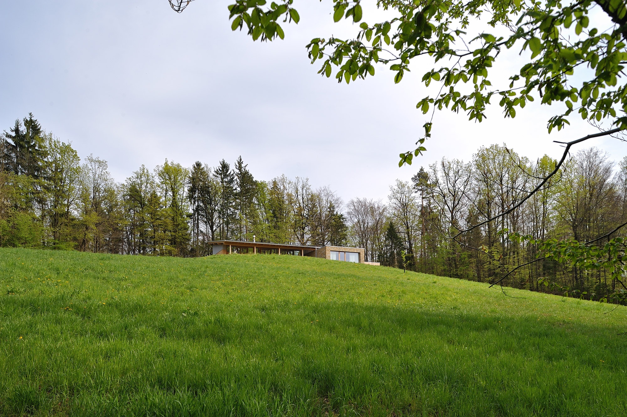 森林边缘的梦幻家园-17