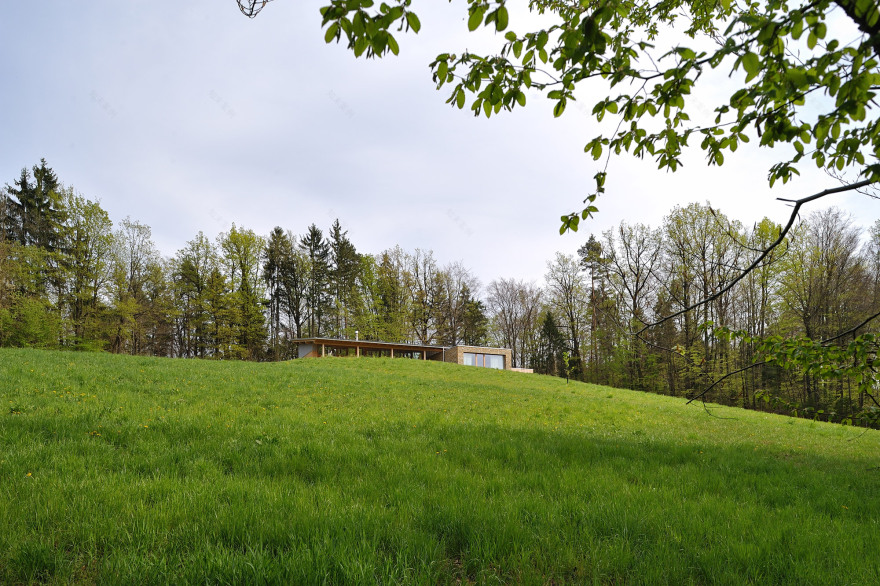 森林边缘的梦幻家园-17