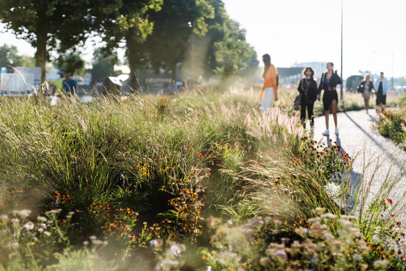 安特卫普医院公共空间设计丨比利时安特卫普丨不详-20