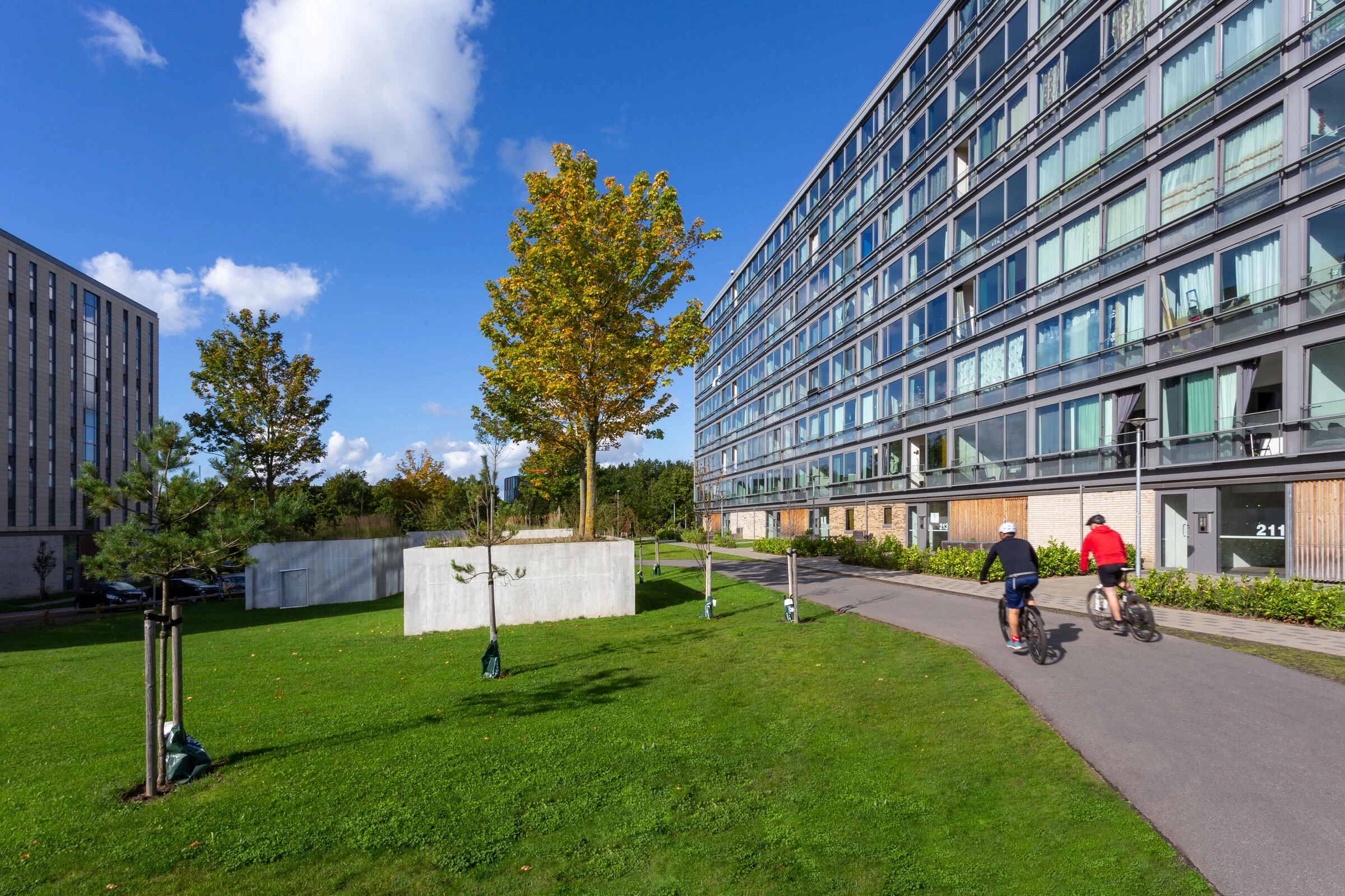 Bispehaverne 住宅景观改造丨丹麦奥胡斯丨LINK arkitektur-4