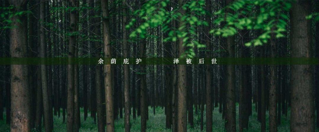 东方意蕴的现代演绎——GSD 时尚镜-7