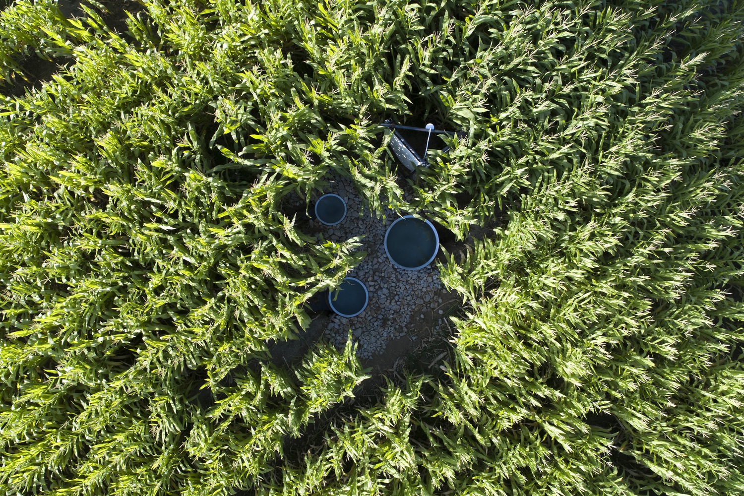 伊朗北部山村中的生态景观酒店设计-17