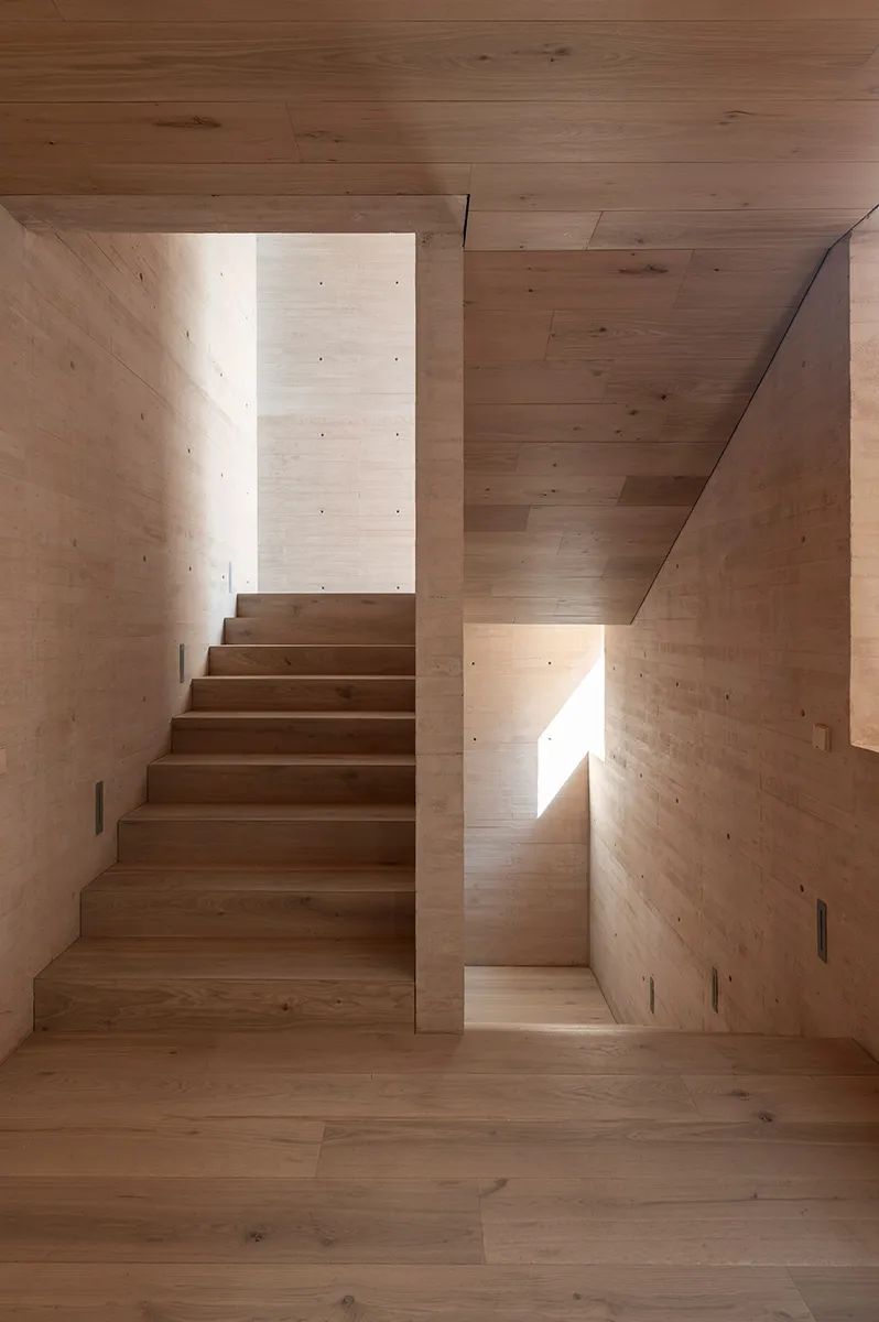 特霍科特之家丨墨西哥丨Gonzalez Muchow Arquitectos-58