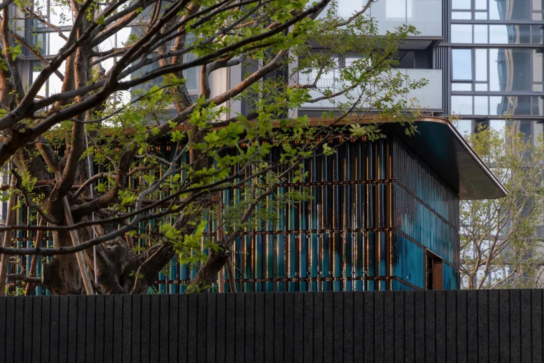 一绿向南，天边有光 | 佛山TIC全球创客小镇 · 时代君林府(大区)-64