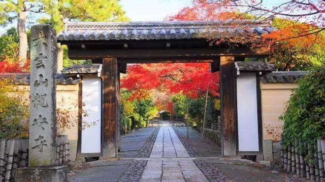 日本最美20个庭院，你更中意哪一个？-127