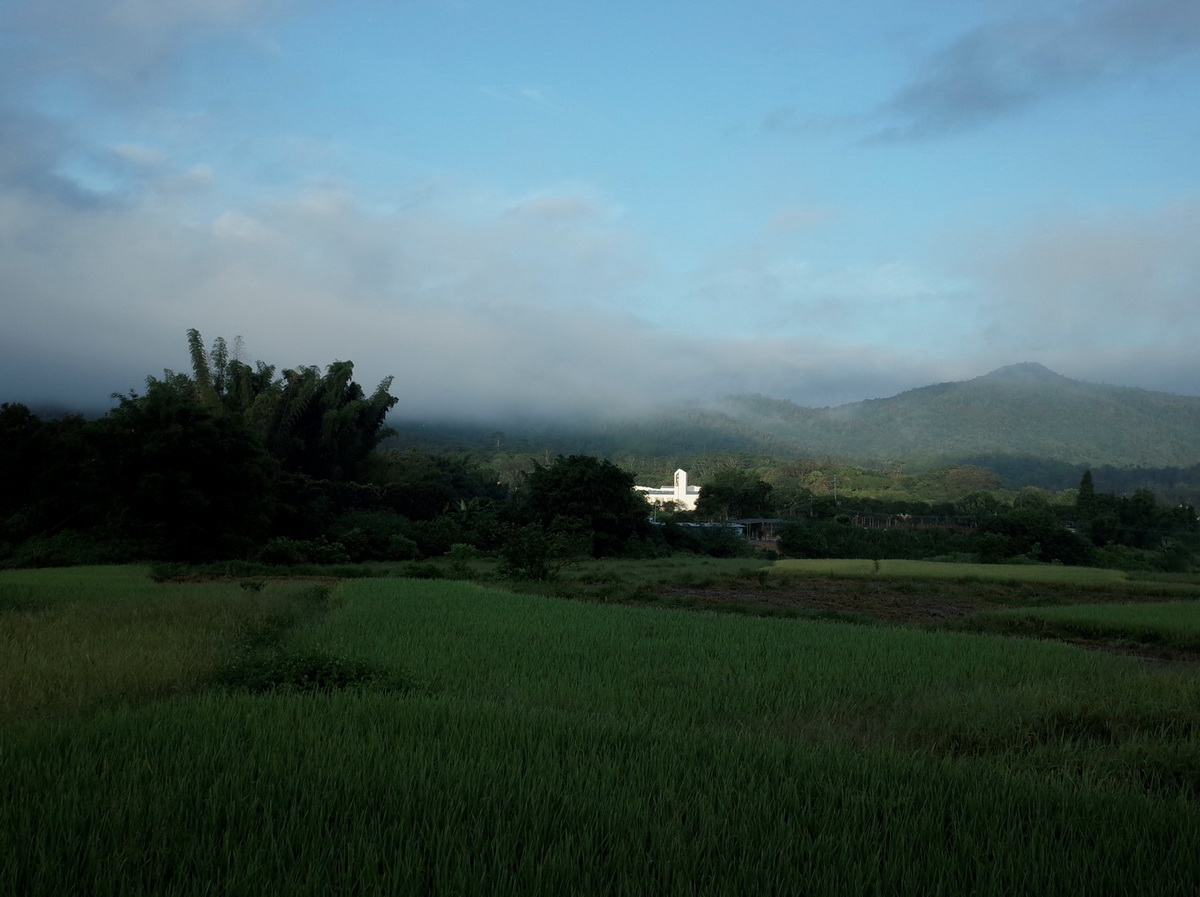 佳禾园自然教育营地丨中国广州丨广州城外建筑设计有限公司-1