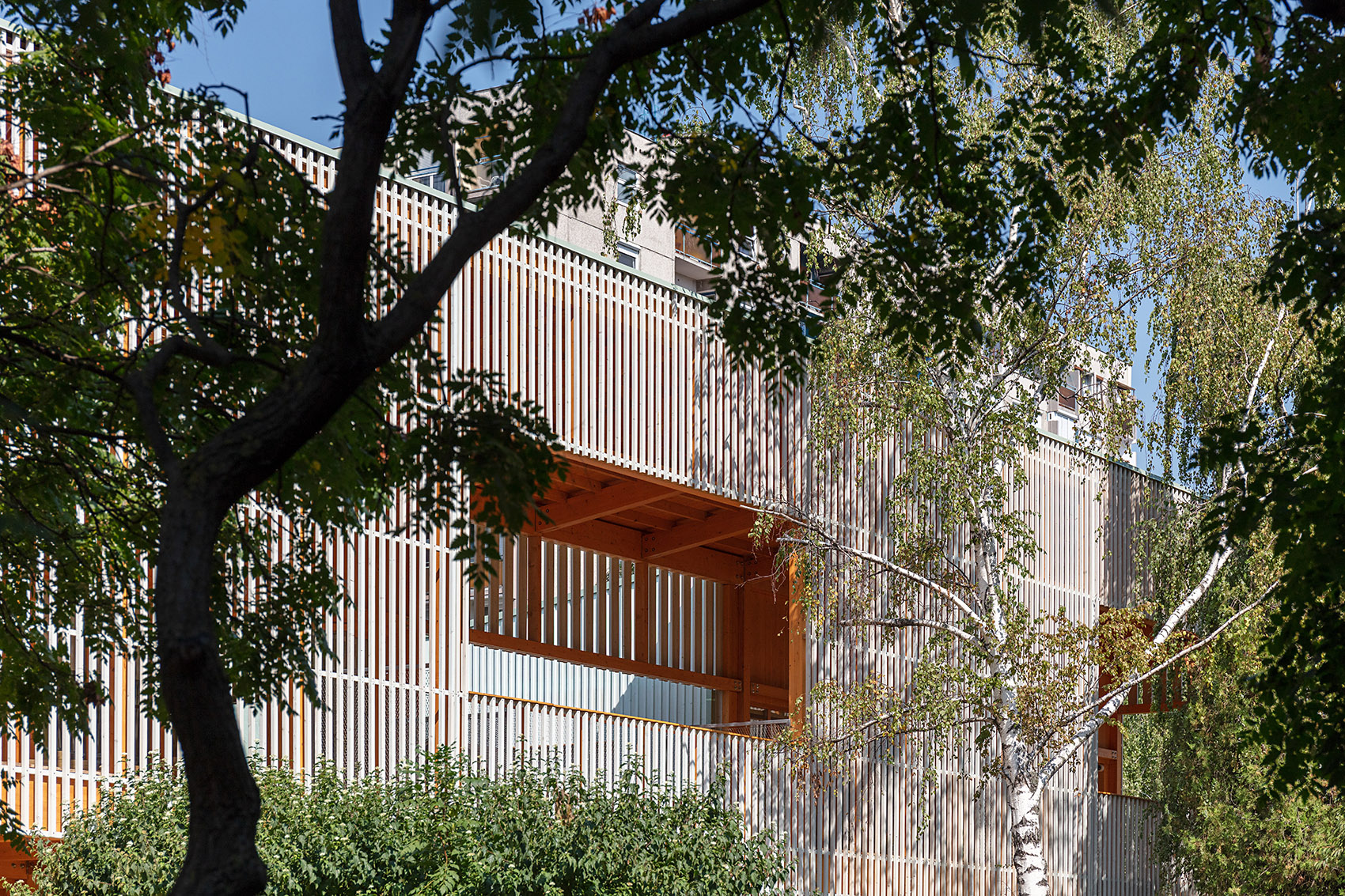 Vizafogó幼儿园扩建与改造丨匈牙利布达佩斯丨Archikon Architects-18