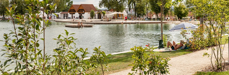 Planur  e · 托雷多旧城区圣豪梅街区改造-6