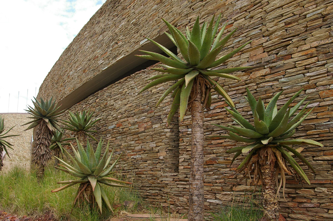 南非茨瓦内自由公园-6