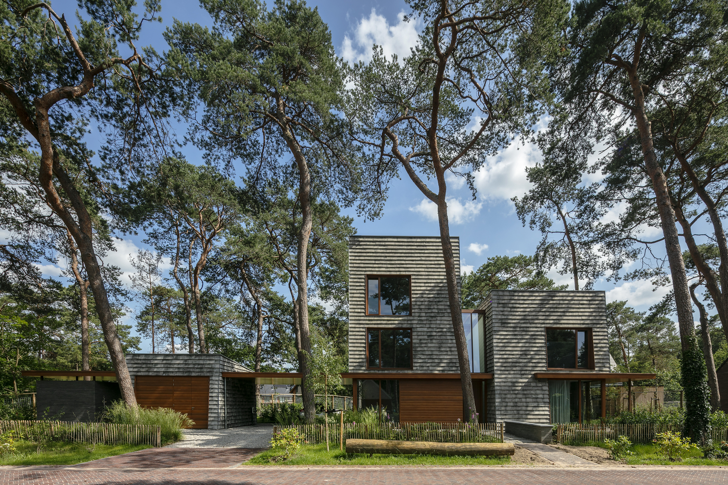 荷兰森林中的现代住宅-29