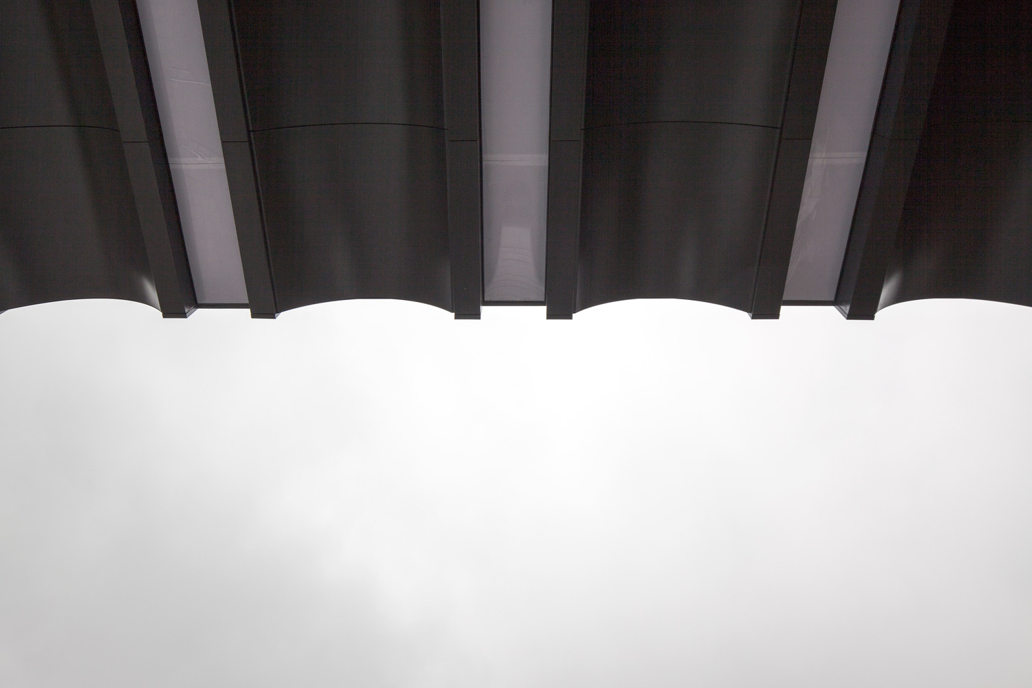 风翔老年大学-37