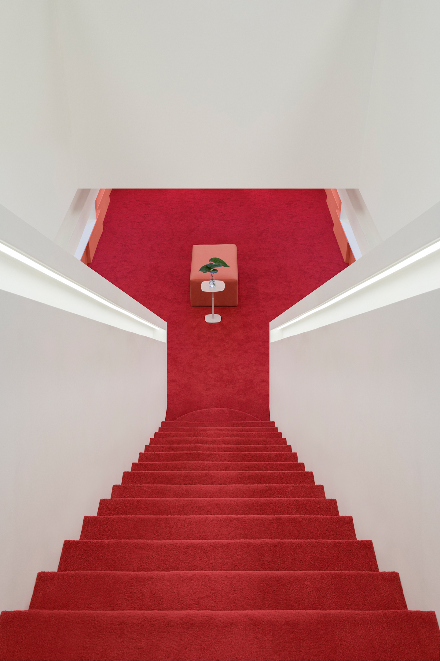 巴西圣保罗 Zissou 新概念体验店丨Estudio Guto Requena-20