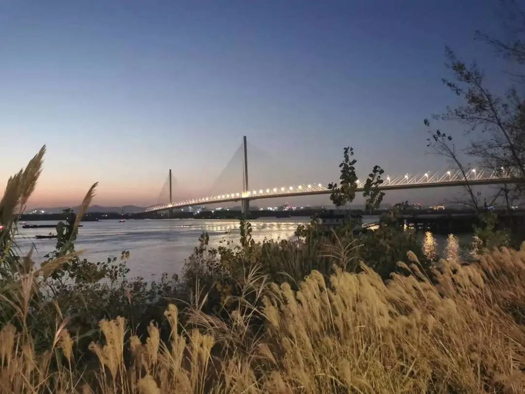 南京市江心洲排涝泵站丨中国南京丨东南大学建筑设计研究院有限公司-16