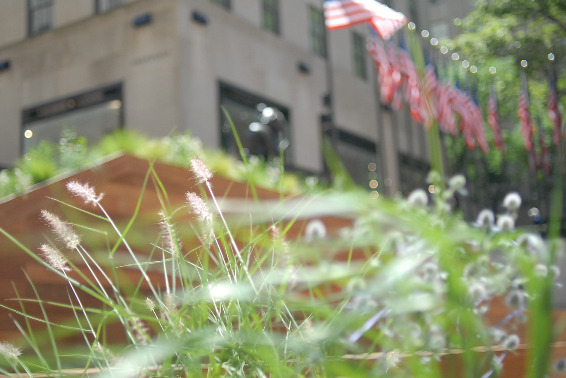 Rockefeller Center Summer Gardens | Julia Watson LLC-18