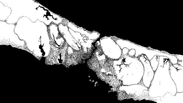 Test Site Istanbul 51N4E相关项目丨土耳其伊斯坦布尔丨H+N+S景观建筑师,51N4E项目团队-30