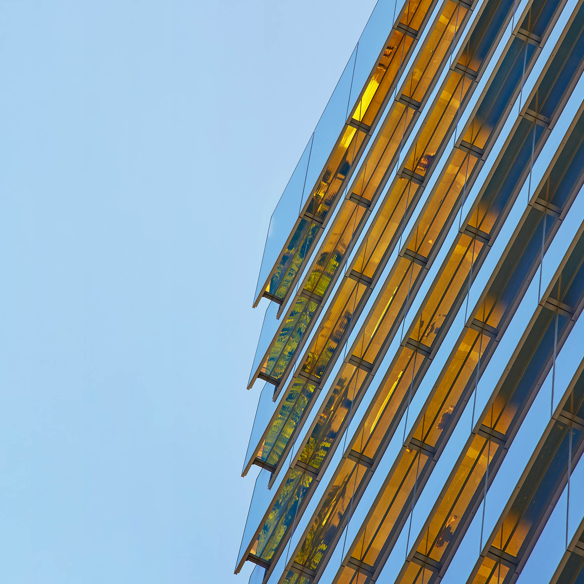 悉尼 20 马丁广场绿色环保办公大楼-0