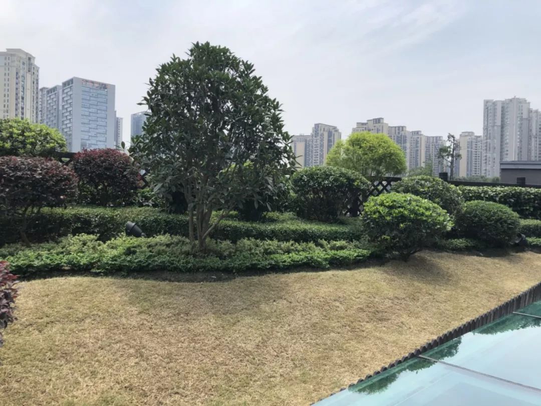 空中花园的粉紫色浪漫 | 乐梵造园的秋韵花境改造-9