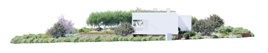 帕尔马雷斯(奥迪埃雷)-7