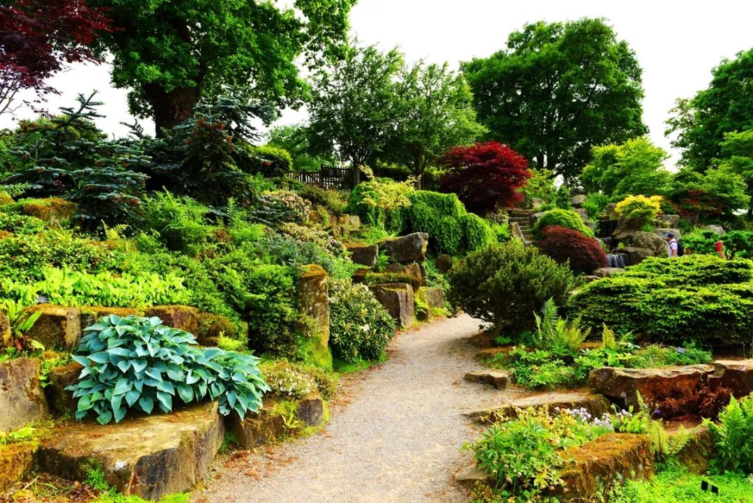 花境植物配置的艺术 | 四季美景尽收眼底-16