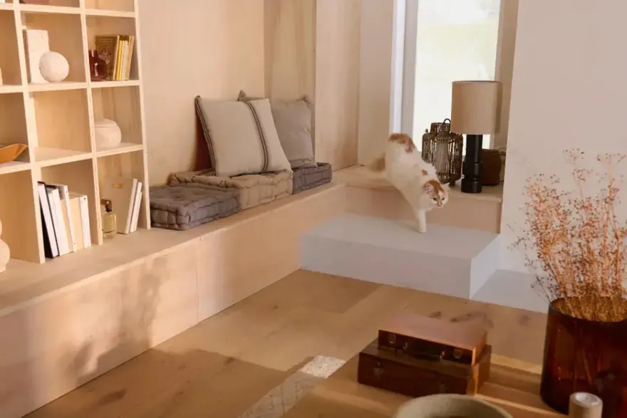 现代舒适客厅的定制书架设计-5