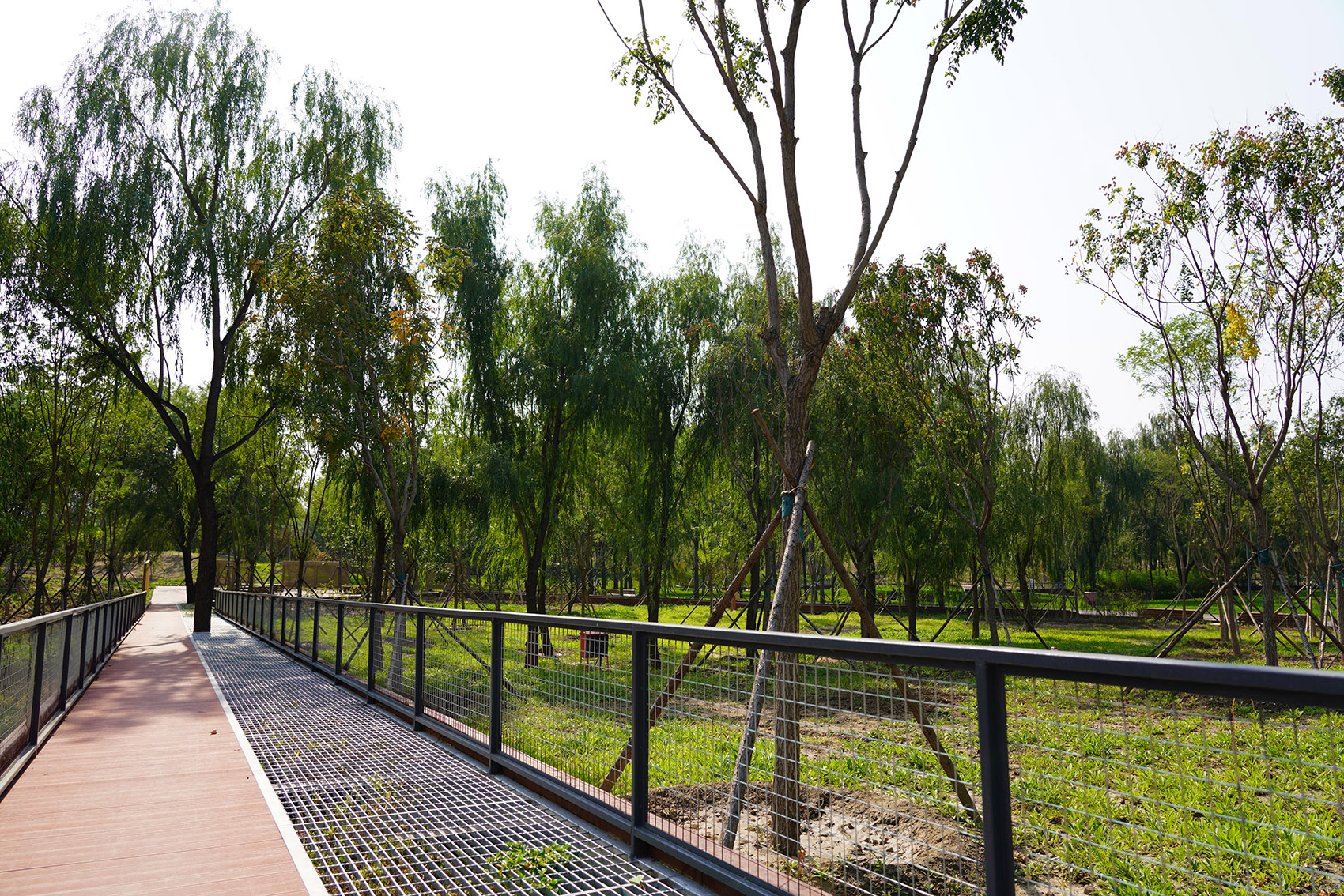 奥北森林公园二期景观及景观建筑系列丨中国北京丨北京北林地景园林规划设计院有限责任公司,北林风景建筑研究中心-178