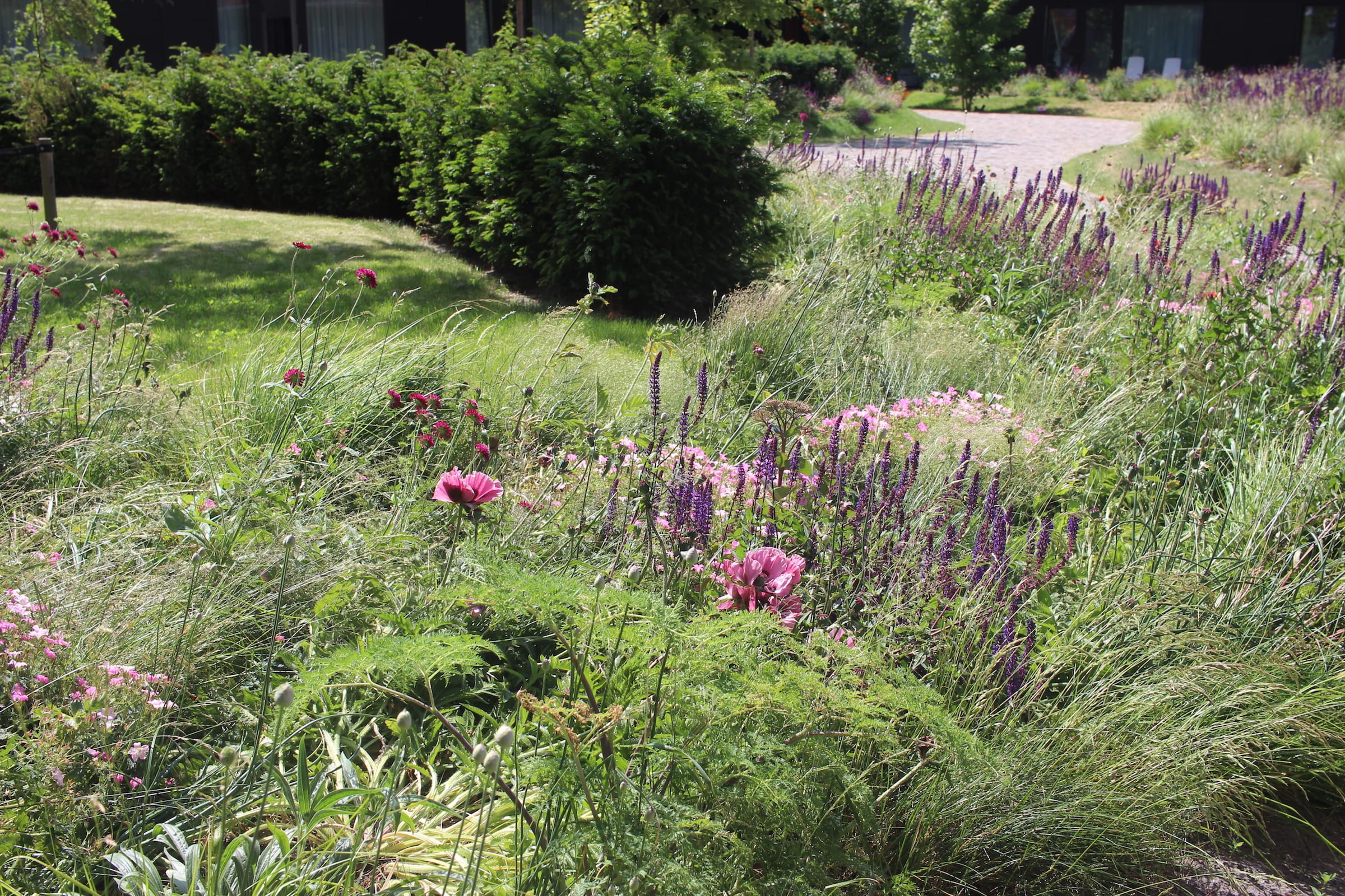 整个欧洲，德尔瓦景观建筑师事务所-52