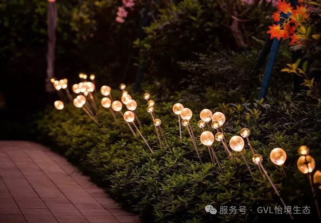 独家干货！在住宅区里建一个神奇水花园-58