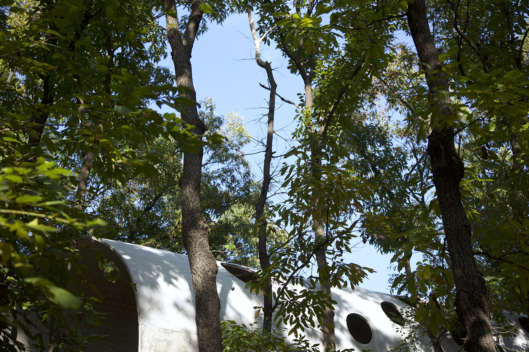 卧虎藏龙美术馆丨中国日照丨孔祥伟工作室-14