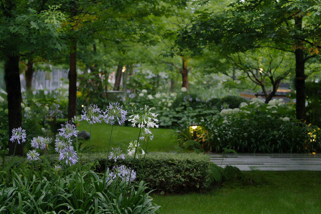 西投绿城·杭州云澜谷丨中国杭州丨ZSD卓时-59