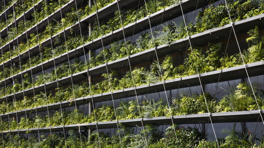 越南 Jakob 工厂-7