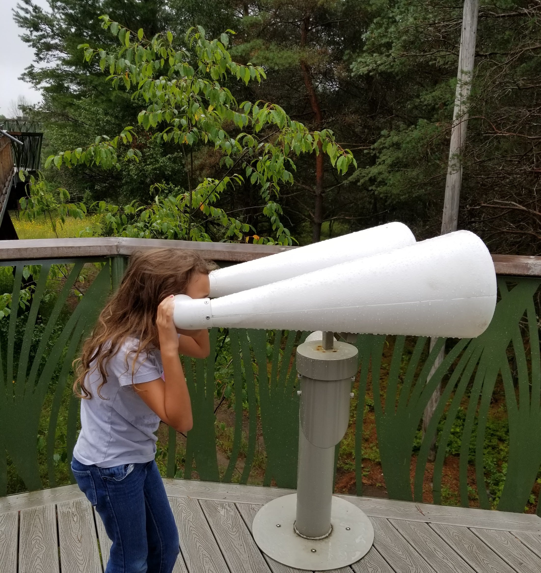 野性漫步 · 融入自然的高空步道设计-21