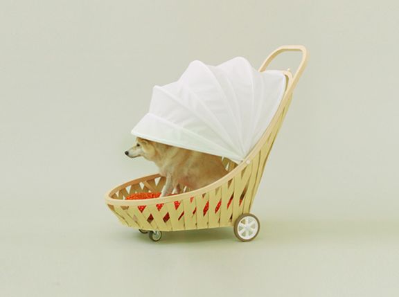 国际爱犬日特别策划 | 创意犬屋设计大赏-41