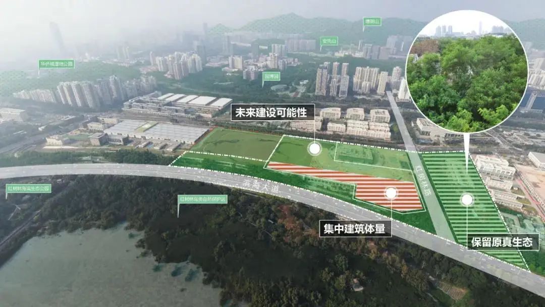 深圳红树林湿地博物馆丨中国深圳丨都市实践+中国城市建设研究院-25