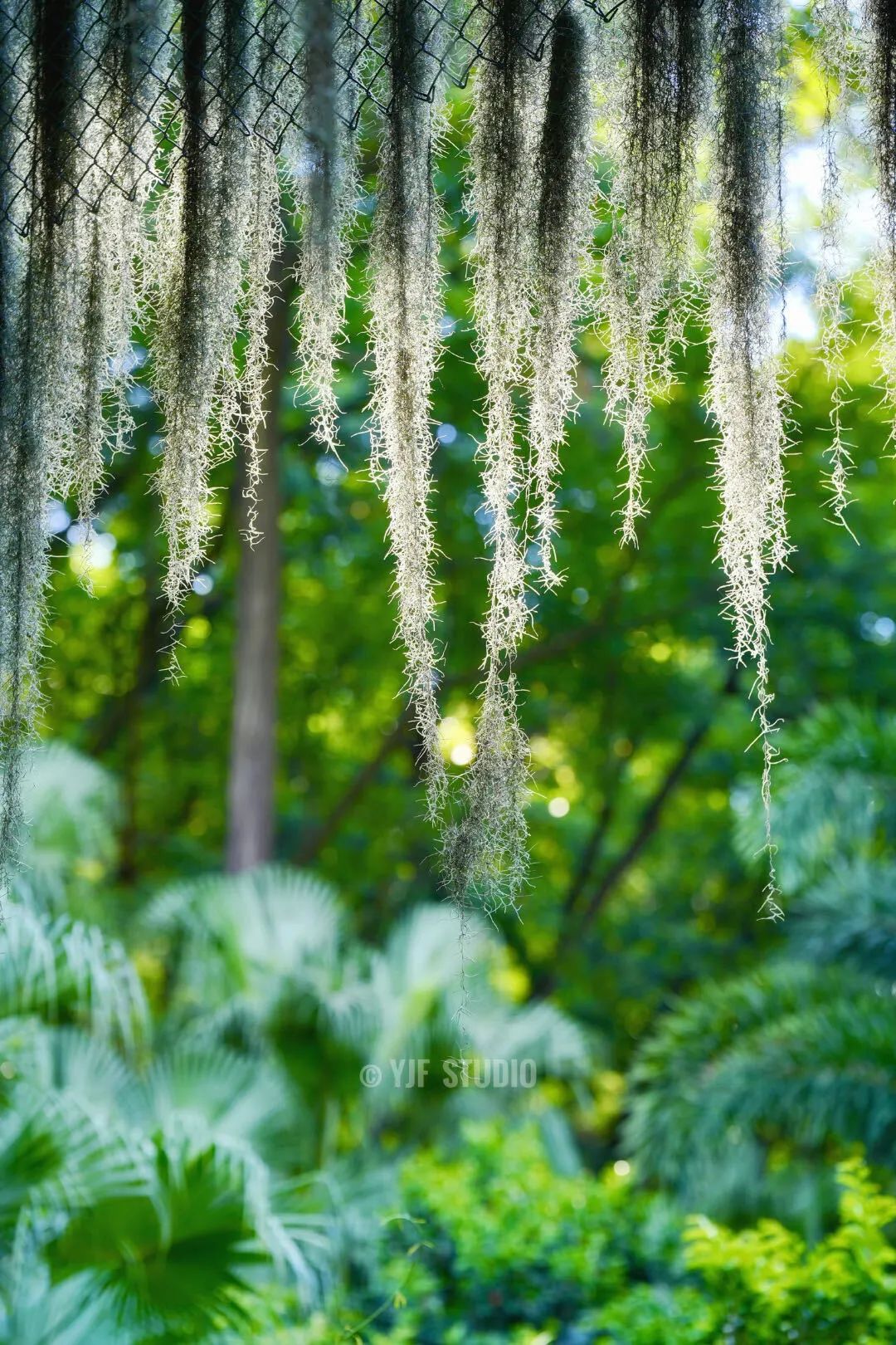 广州云萝植物园丨中国广州丨广州普邦园林股份有限公司-14