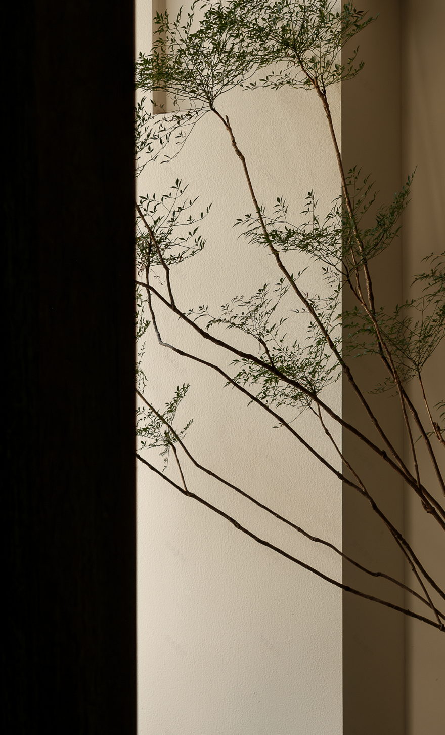 众冉建筑设计事务所丨中国宁波-5