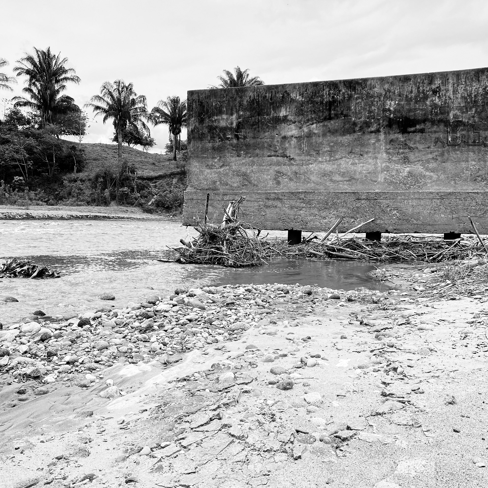 Sedimentos: Ecologías Performativas | Integrador Final-9