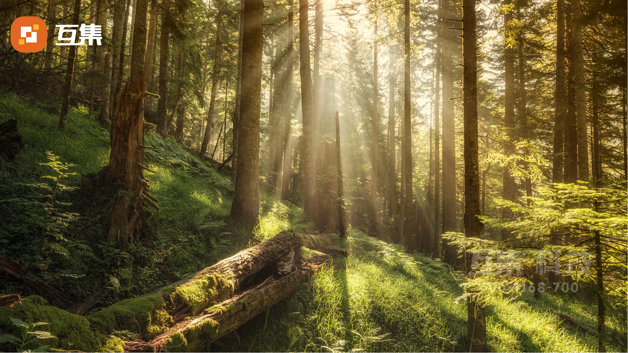 安吉龙庭草居接待室项目 互集助力乡村振兴推动可持续-25