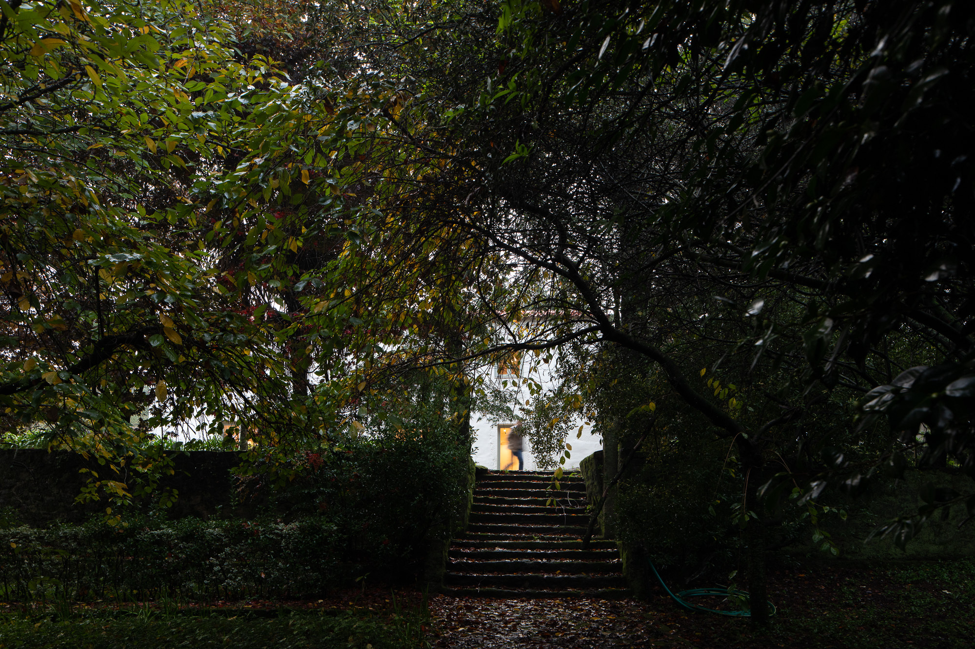 QBN 住宅丨葡萄牙丨Pardo-50