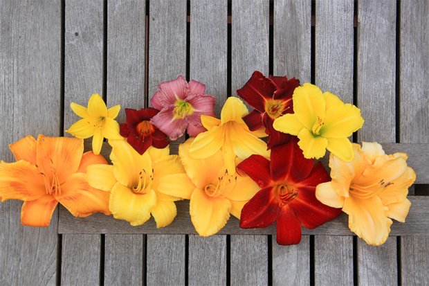 德普莱纳的小菜园丨德国柏林丨Büro Christian Meyer-9