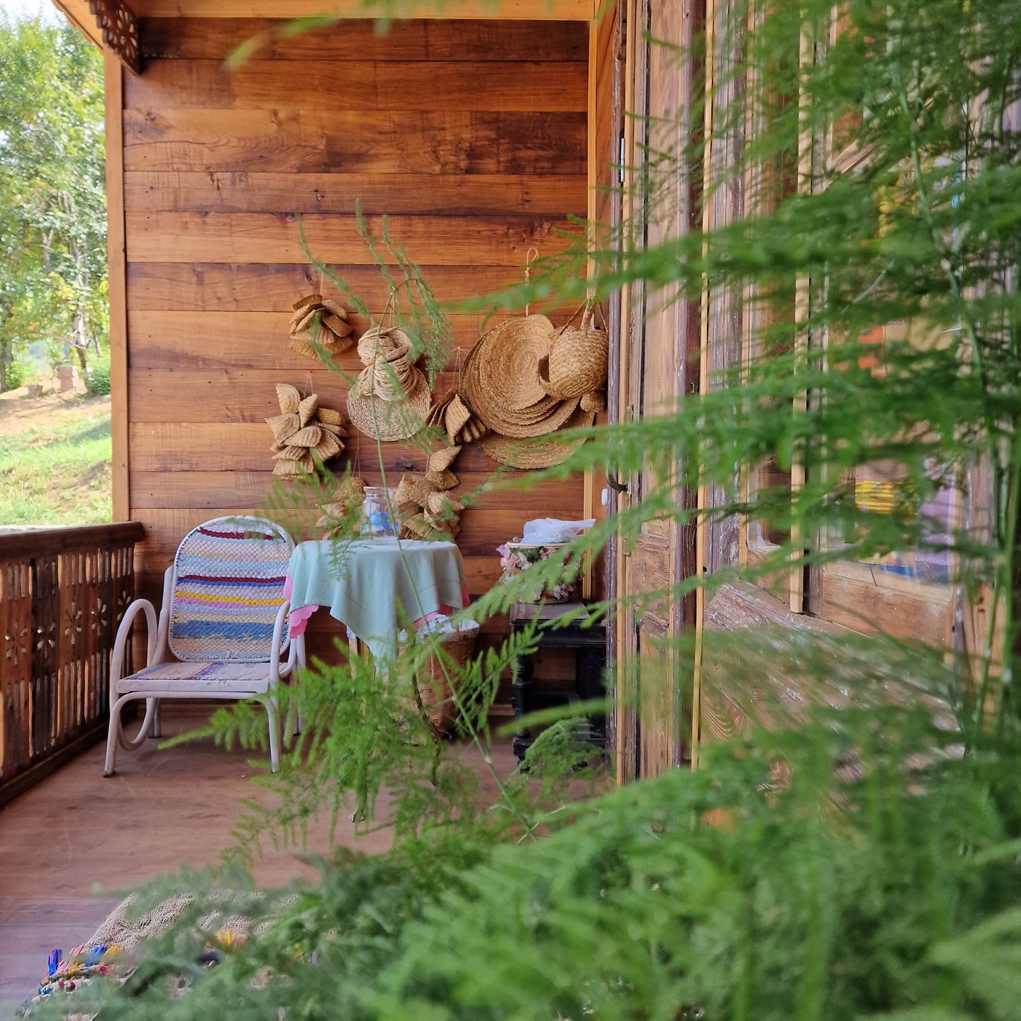 “სკიჯის სახლი”生态旅游项目-26