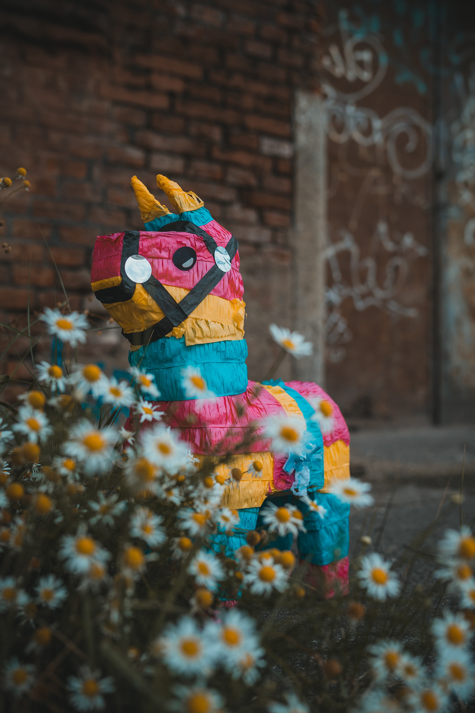 Ki·i单曲《Na złość》宣传活动-19