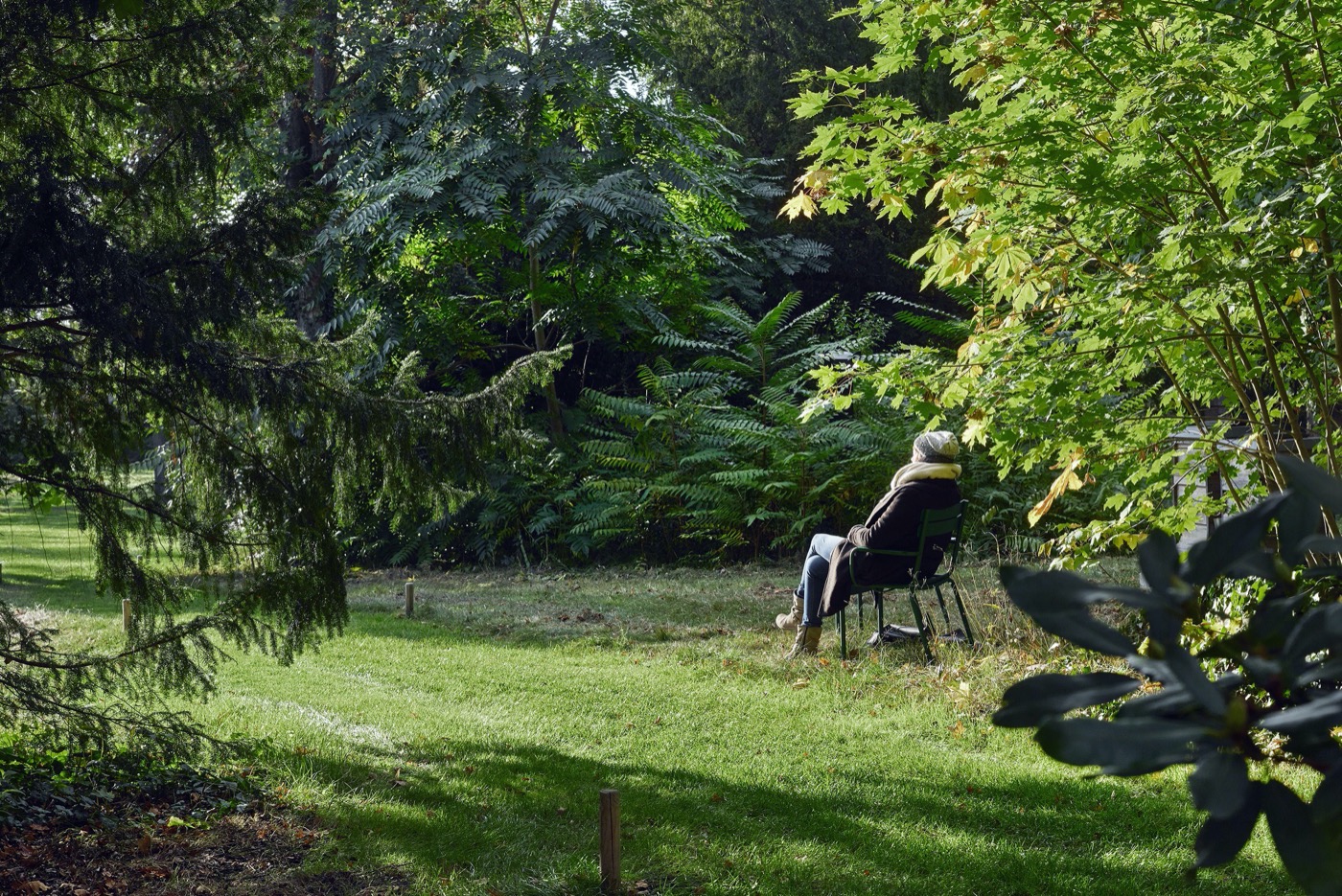 Luisenstädtischer 公墓变身文化生态社交空间-7