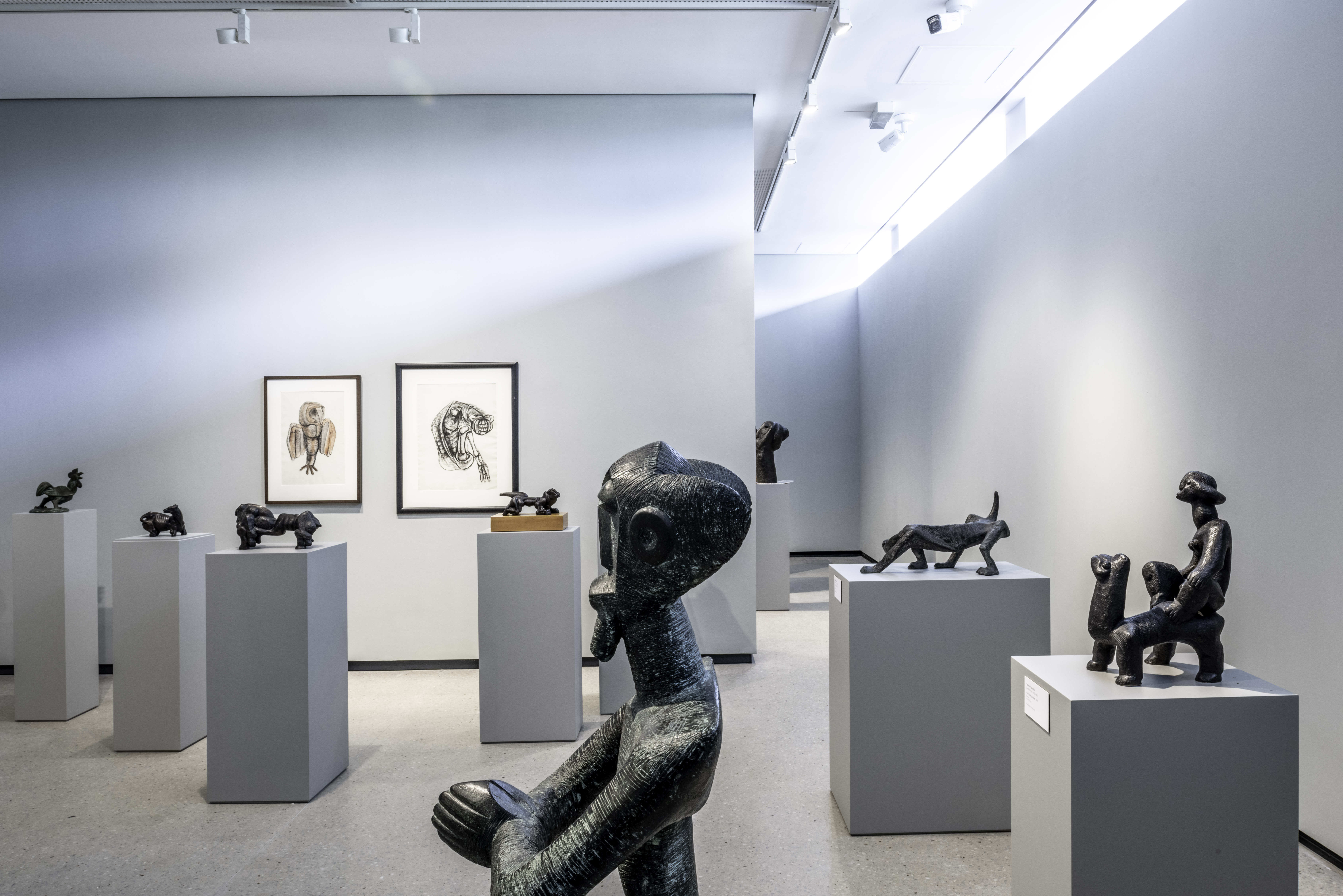 南非 Norval 基金会-23