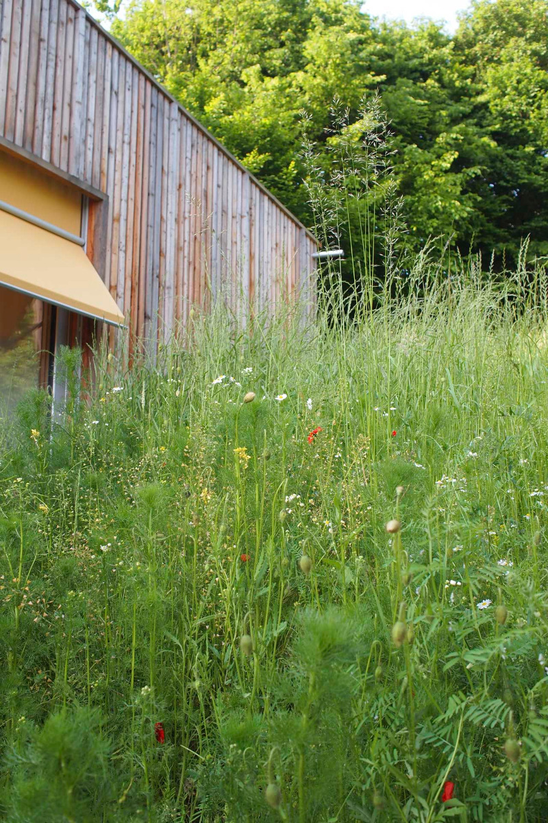 下奥地利州Nema建筑事务所建筑群丨奥地利下奥地利丨Nema Architecture Office-33