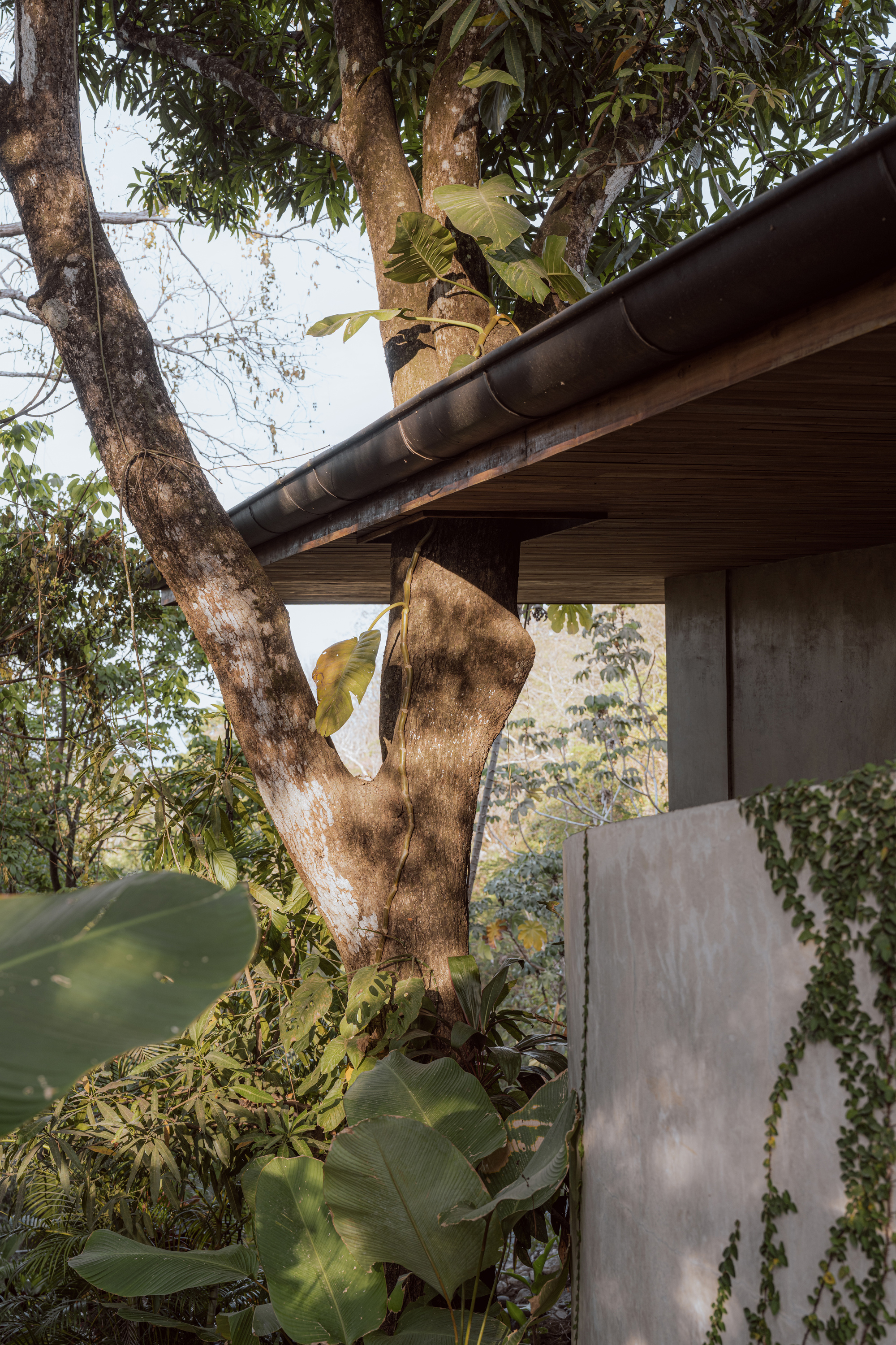 团结党大厦（注：Bersatu一般指马来西亚土著团结党，结合实际情况Bersatu House可理解为该党相关的大厦等建筑） 丨哥斯达黎加丨Estudio D3B-46