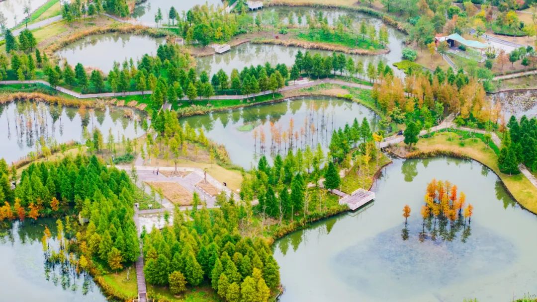 上海碧云绿地丨中国上海丨AECOM-30