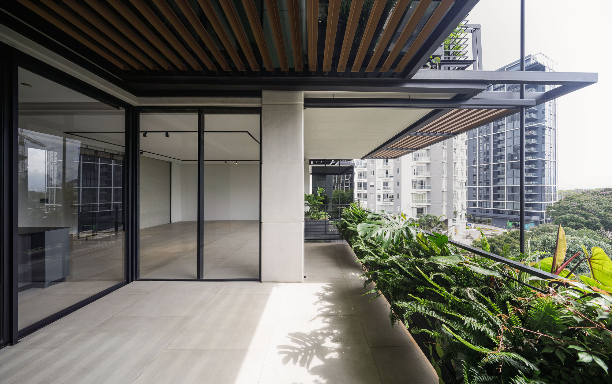 栀子丨哥斯达黎加圣何塞丨Studio Saxe-66